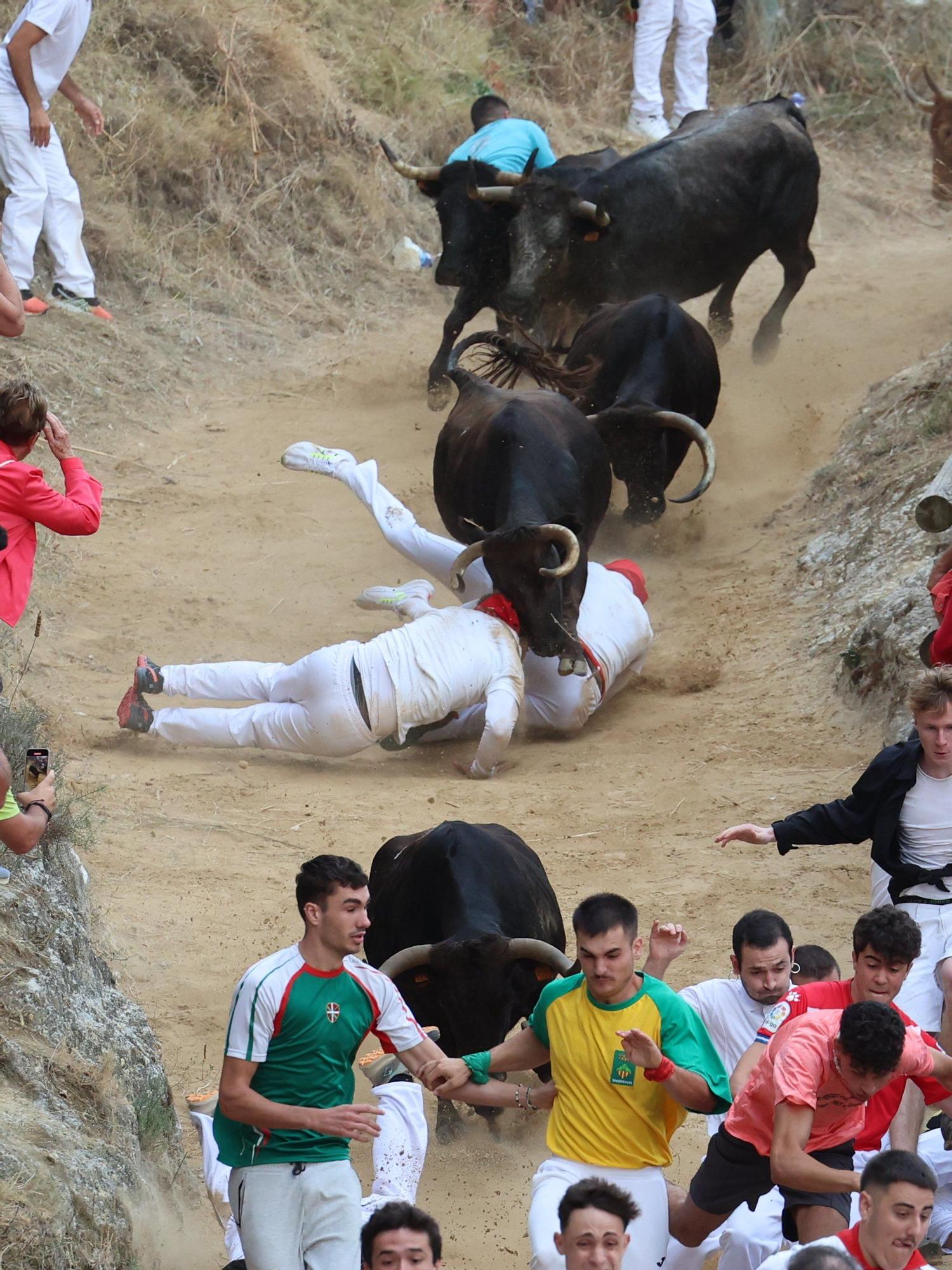 Fotos del tercer encierro del Pilón de Falces 2025