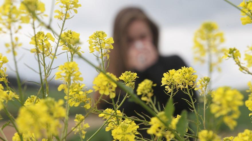 Salud arranca la campaña de vigilancia del polen, al que son alérgicas unas 100.000 personas en Navarra