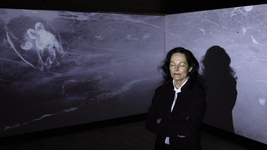 Qué hacer y qué ver en Navarra y en Pamplona. Agenda cultural