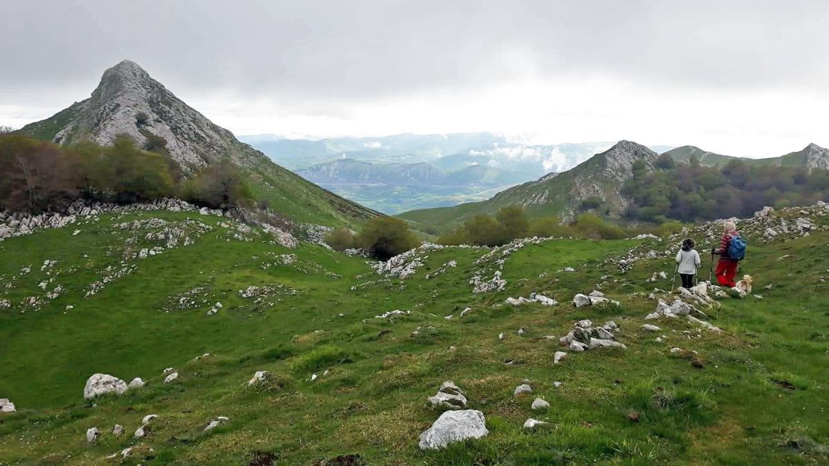 Raso entre las cimas de Ttutturre y Beloki, en las Malloas.
