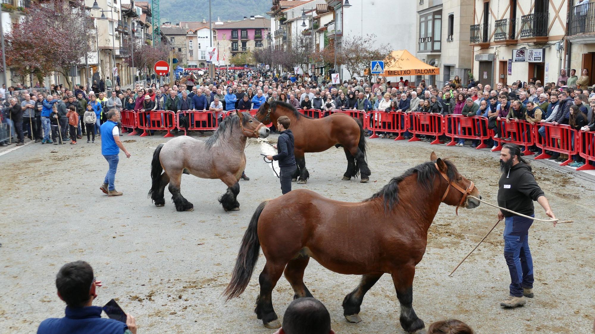 Fotos de las ferias de Altsasu este domingo