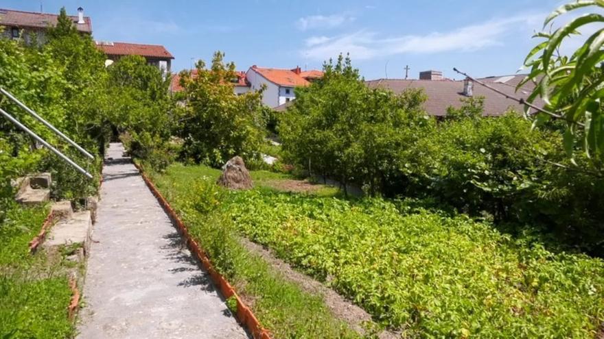 El jardín del convento de Zumaia empieza a florecer