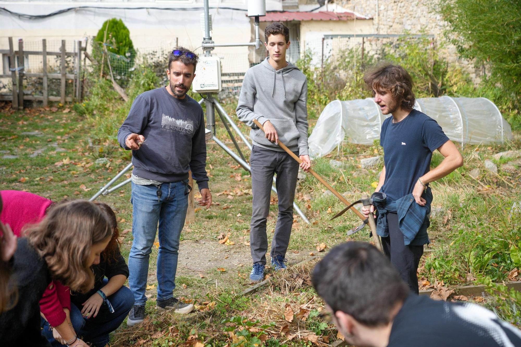 En imágenes: La UPV/EHU impulsa un curso de agricultura ecológica en el Campus de Álava