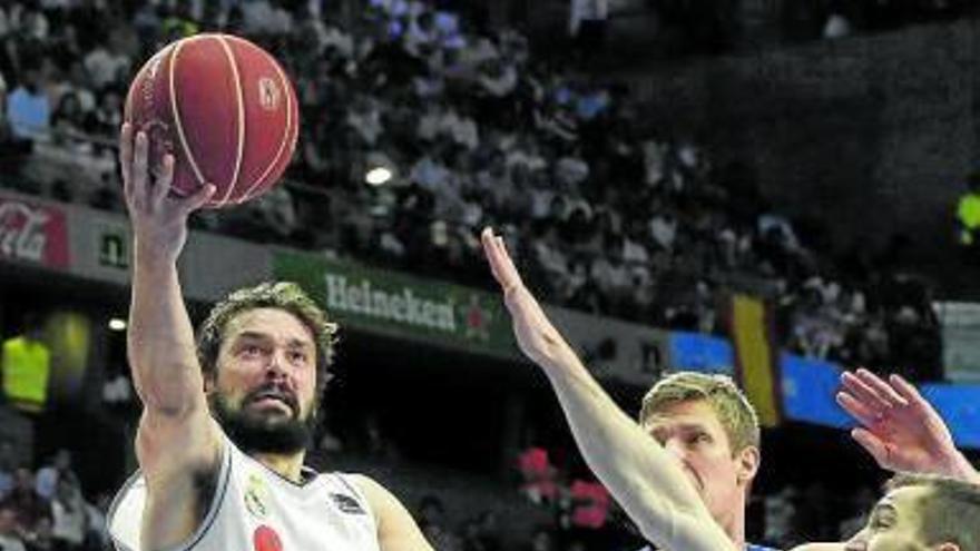 Sergio Llull