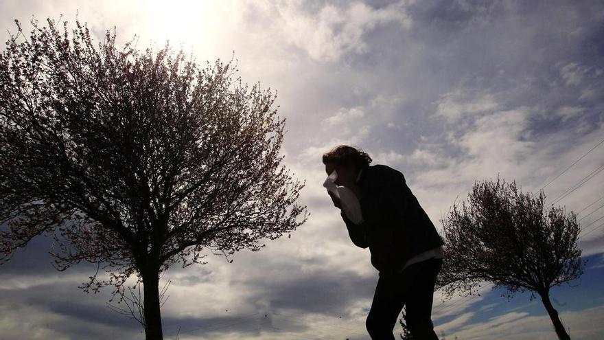 Pamplona reactiva el servicio de información sobre el nivel de riesgo del polen