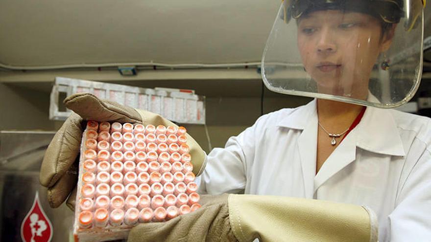 Una investigadora trabaja con células madre del cordón umbilical, en un laboratorio en cooperación con la Organización Mundial de la Salud (OMS).