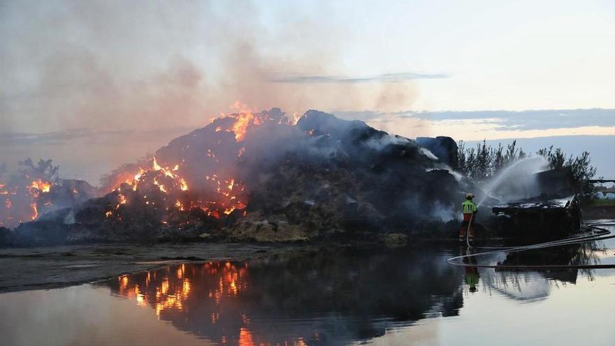 Aagesen cifra en 14 los incendios activos en siete comunidades y apunta al origen intencionado de varios por su &quot;virulencia&quot;