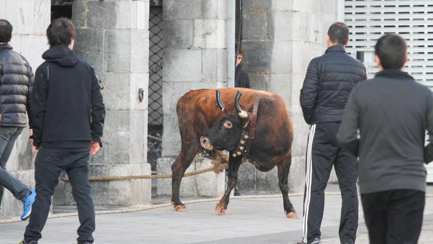El PNV pide una consulta popular para decidir sobre las fiestas con vaquillas en Elgeta