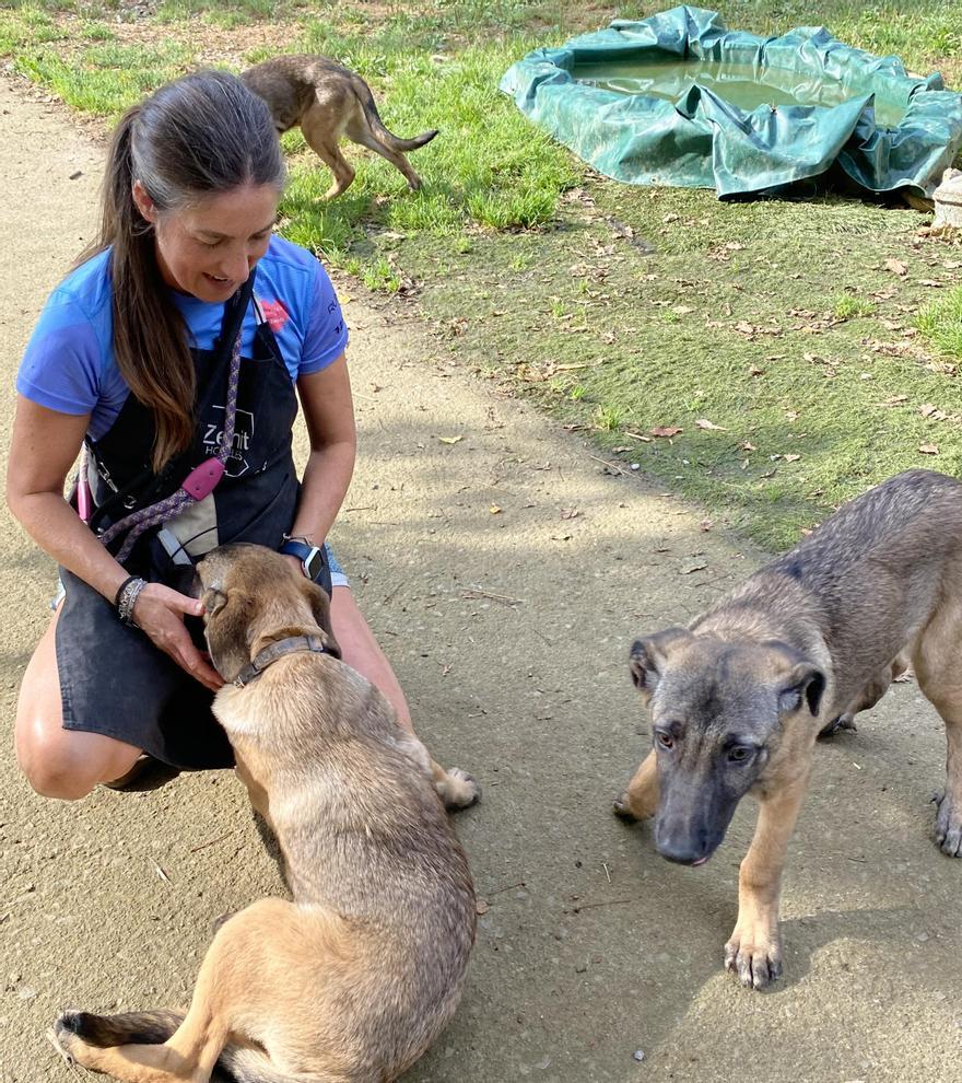 Sonia Brena hace una labor increíble con los perros rescatados.