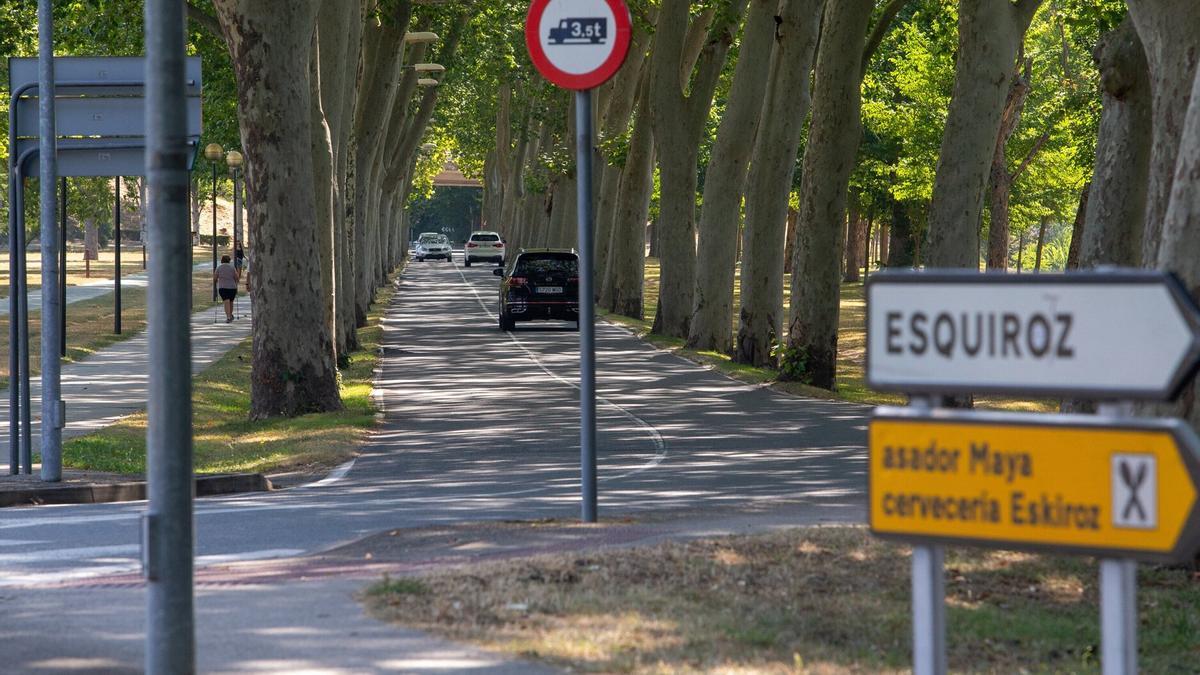 La carretera de la Universidad de Navarra, que pasará a tener un solo carril de circulación para el tráfico rodado.