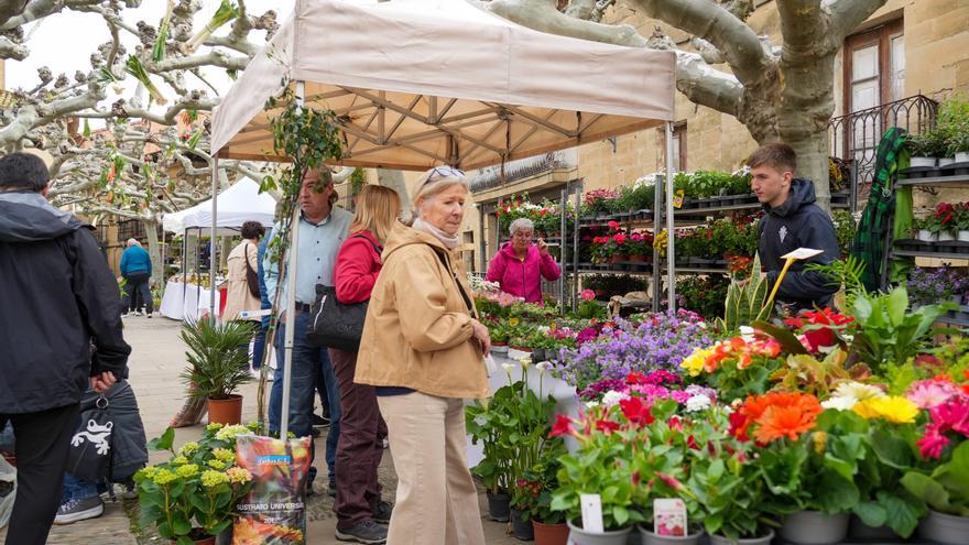 Elciego da la bienvenida a la primavera
