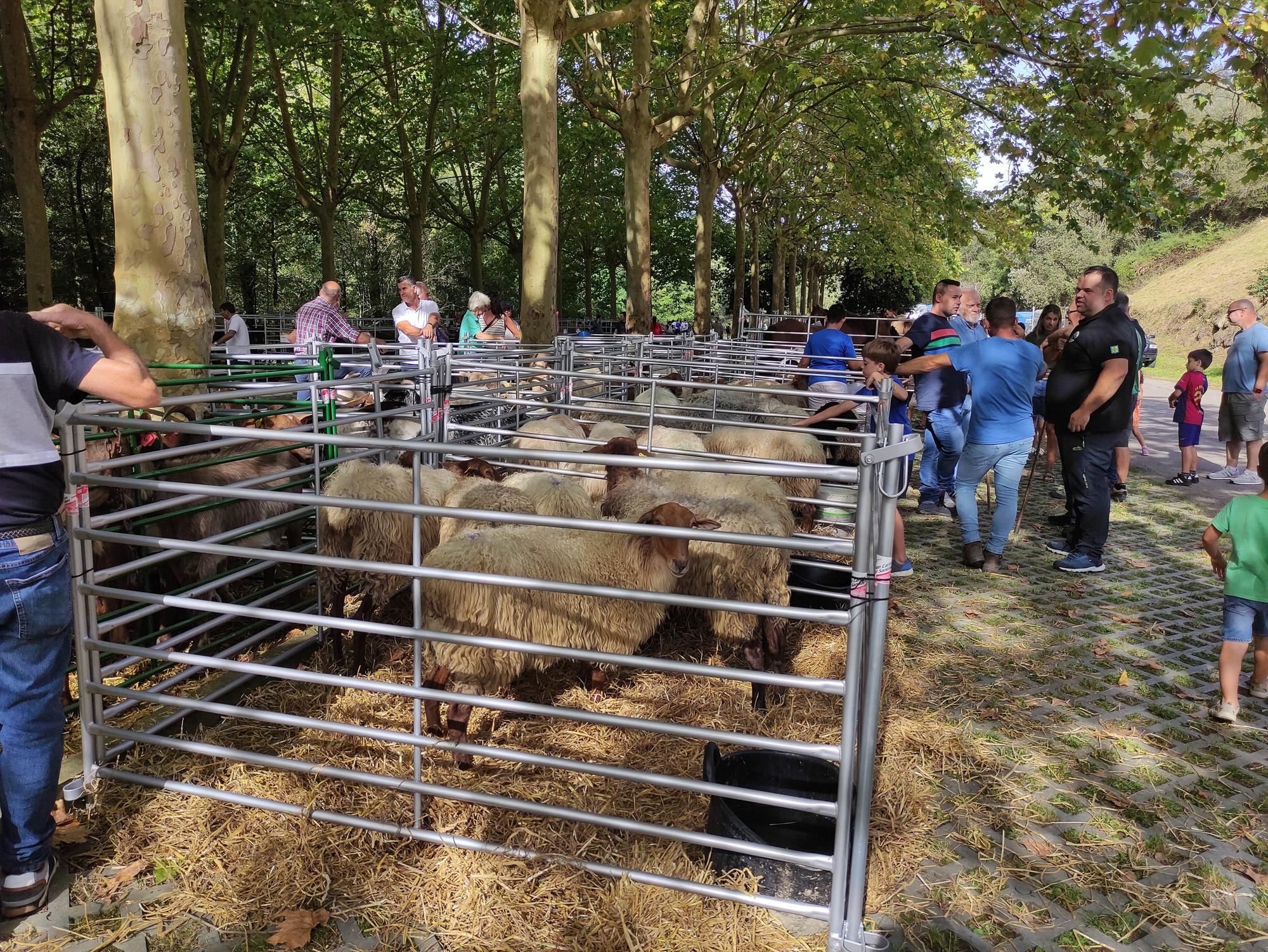 La asociación de ganaderos y ganaderas AGAMUGA de Galdames organiza una feria en septiembre en Atxuriaga.