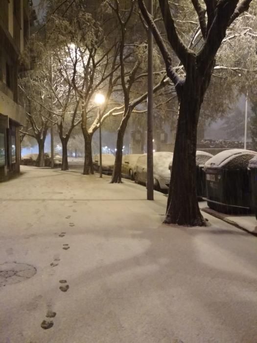 Imágenes de Pamplona y comarca este sábado cubiertas de nieve