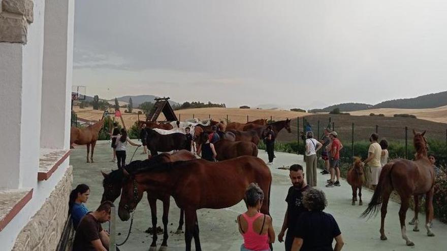Incendio en Ezkabarte | Centro ecuestre de Zildotz: "Nos llevamos los 23 animales muy rápido porque las llamas estaban muy cerca"