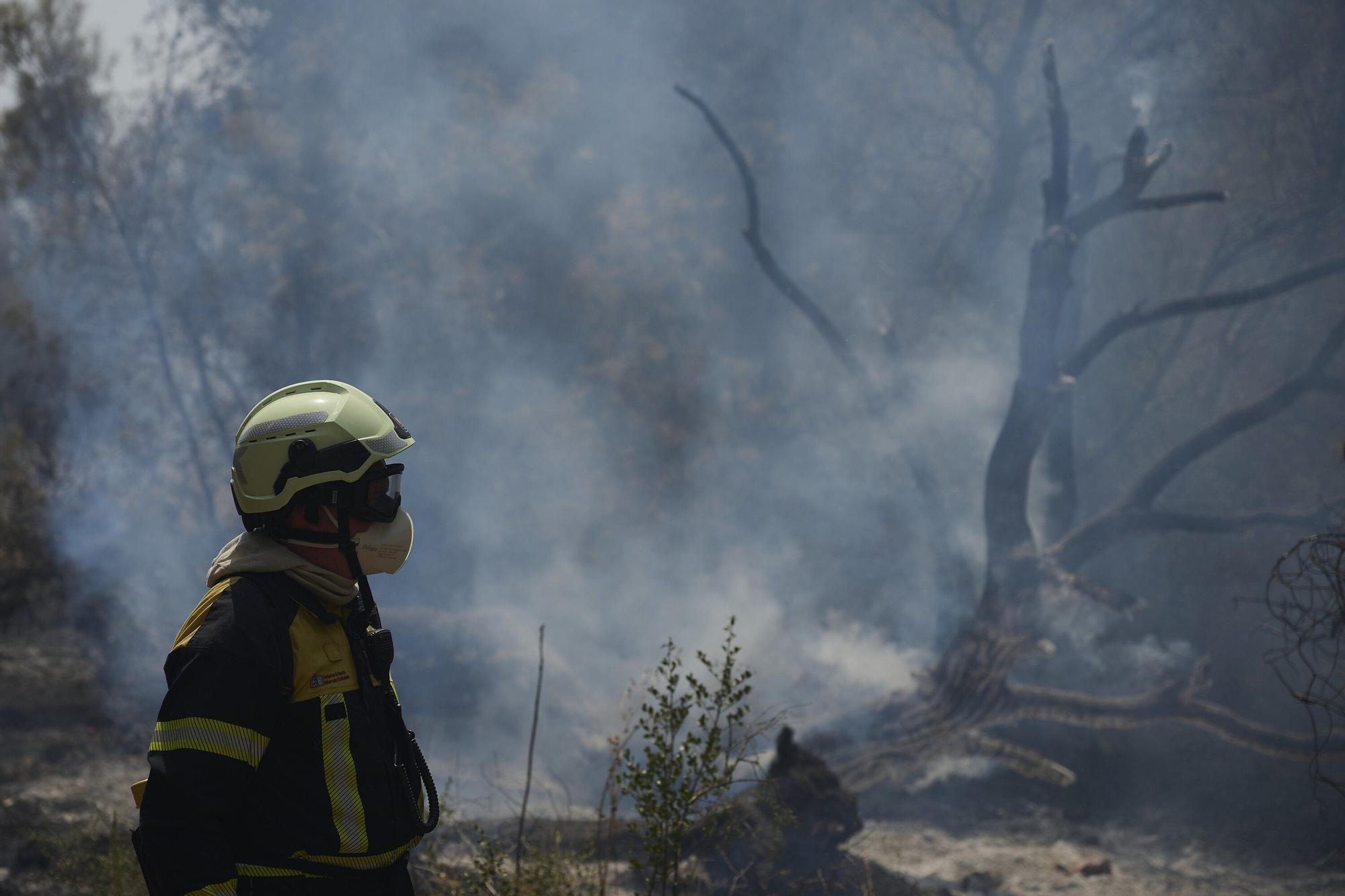Fotos del incendio forestal cerca de Carcastillo
