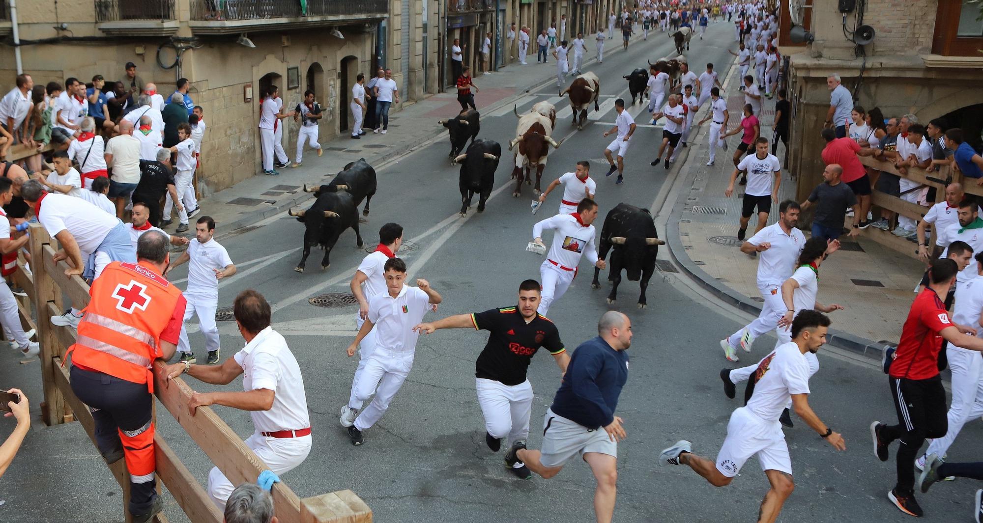 Fotos del segundo encierro de fiestas de Tafalla 2025