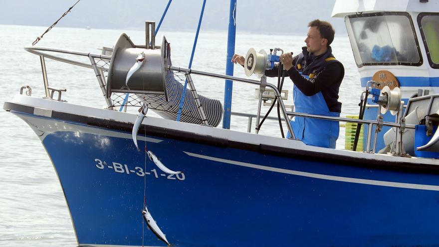 El verdel, al borde del colapso