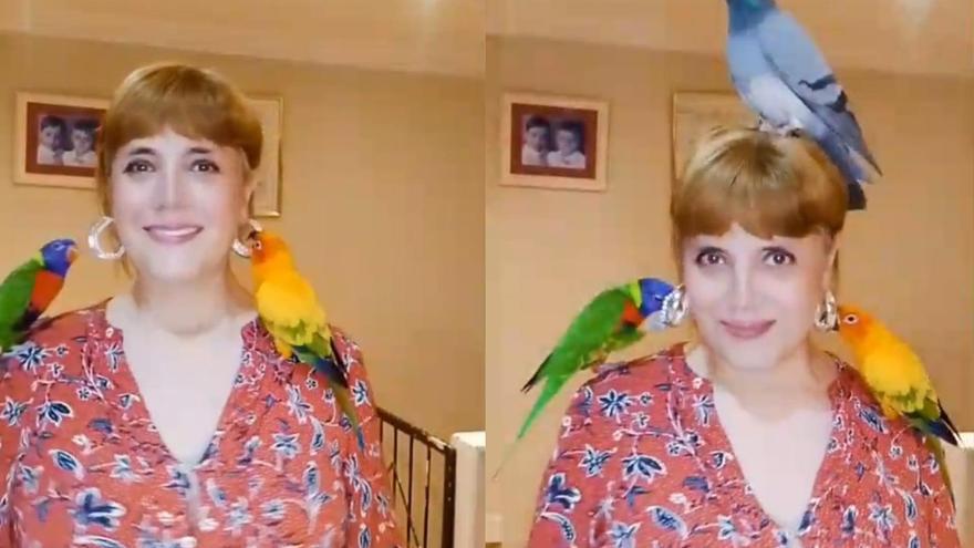 Un sueño que toma altura: una vecina de Portugalete busca voluntarios para crear un refugio de aves en Bizkaia