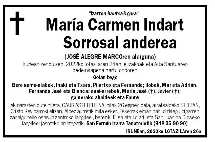 María Carmen Indart Sorrosal