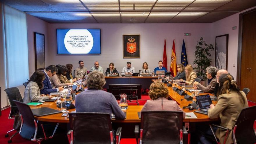 Los trabajadores exponen en el Parlamento de Navarra "la otra cara" de los beneficios de Iberdrola
