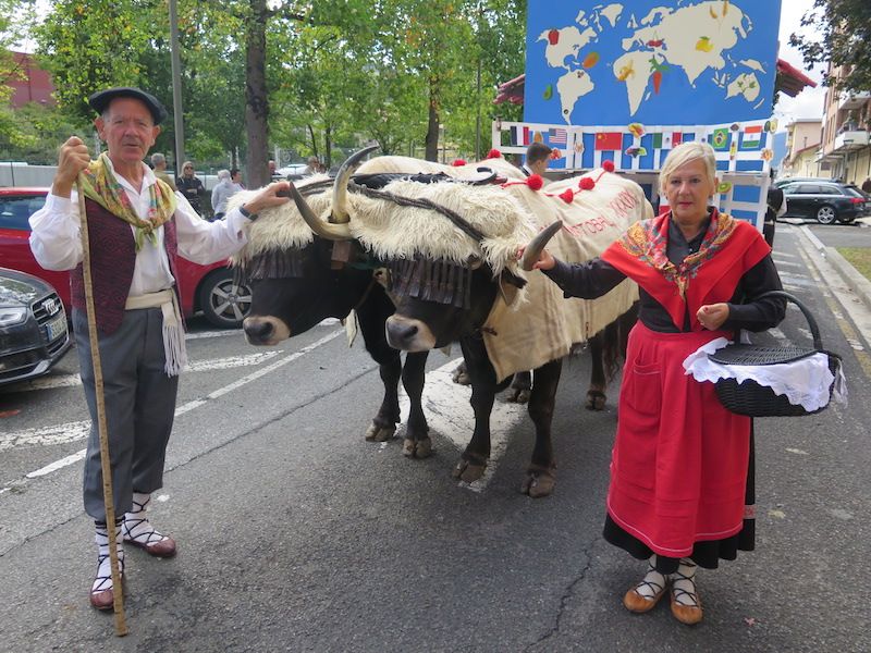 El desfile de la Euskal Jaia de Urretxu, en imágenes