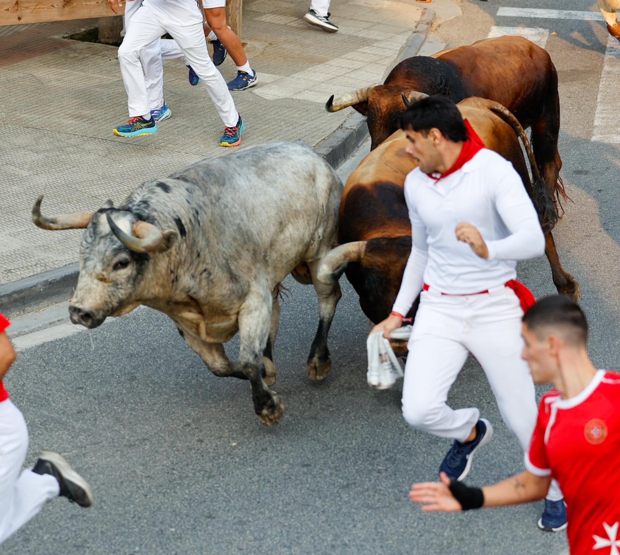 Fotos del tercer encierro de fiestas de Tafalla 2025
