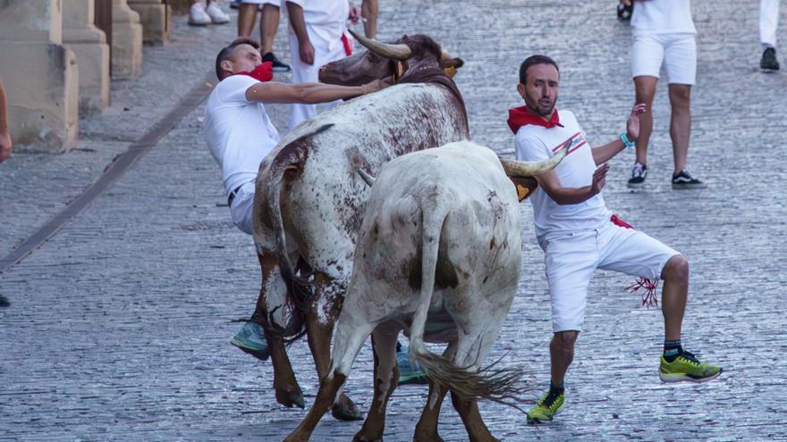 Un manso protagoniza otra cogida en el último encierro de fiestas de Estella - Lizarra