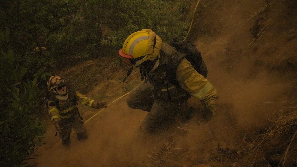 Varios bomberos forestales tratan de extinguir un fuego.