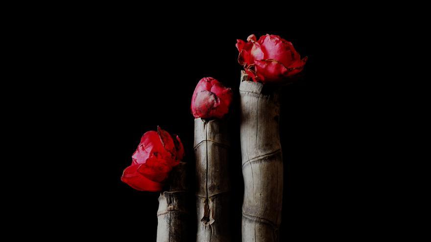 Getxo exhibe las fotos de Sonia Bouso que retratan el ikebana