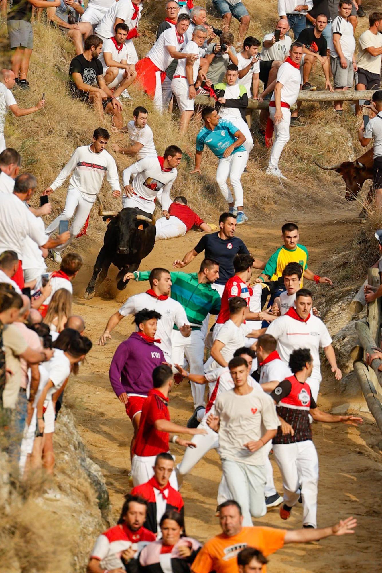 Fotos del segundo encierro del Pilón de Falces 2025