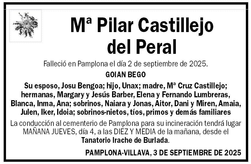 Mª Pilar Castillejo del Peral