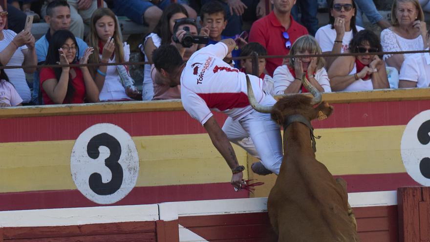 Un recortador corneado en el concurso del lunes en Tudela