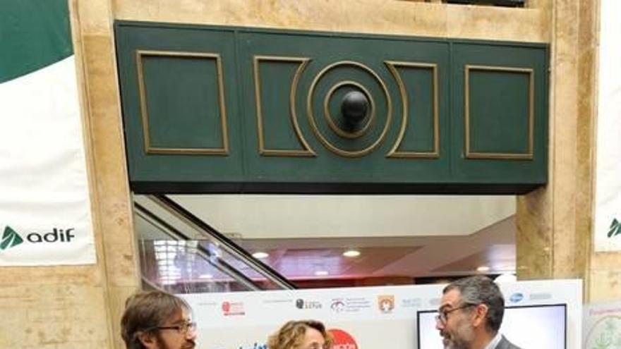 Campaña para prevenir el ictus: 5.000 casos cada año en Euskadi