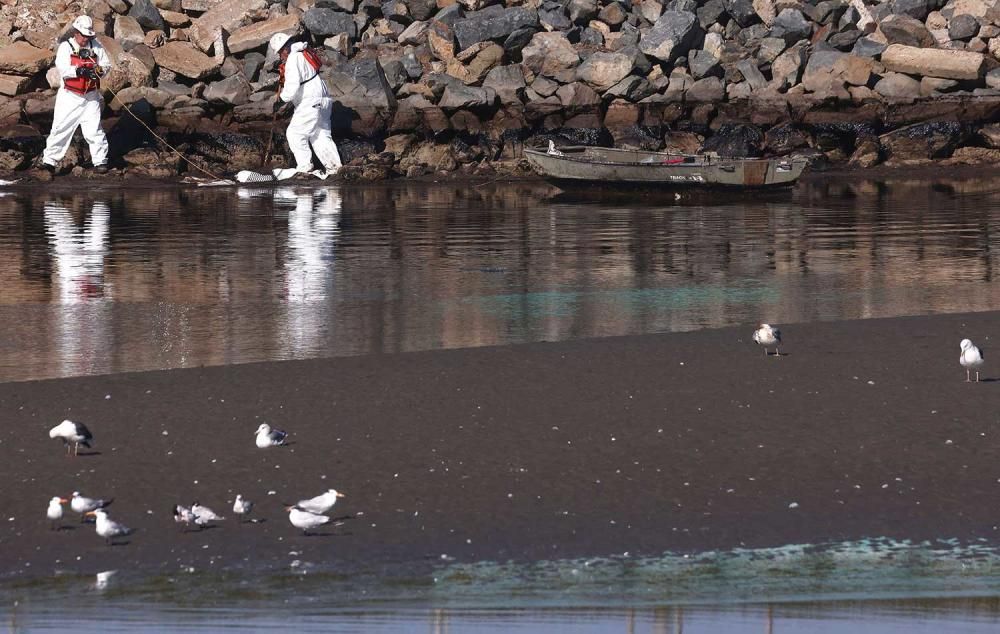 Vertido de crudo en las costas de California