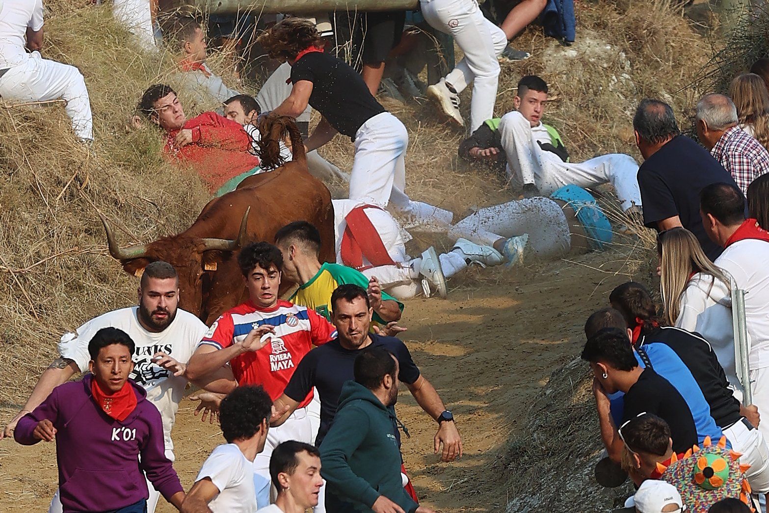 Fotos del cuarto encierro del Pilón de Falces 2025