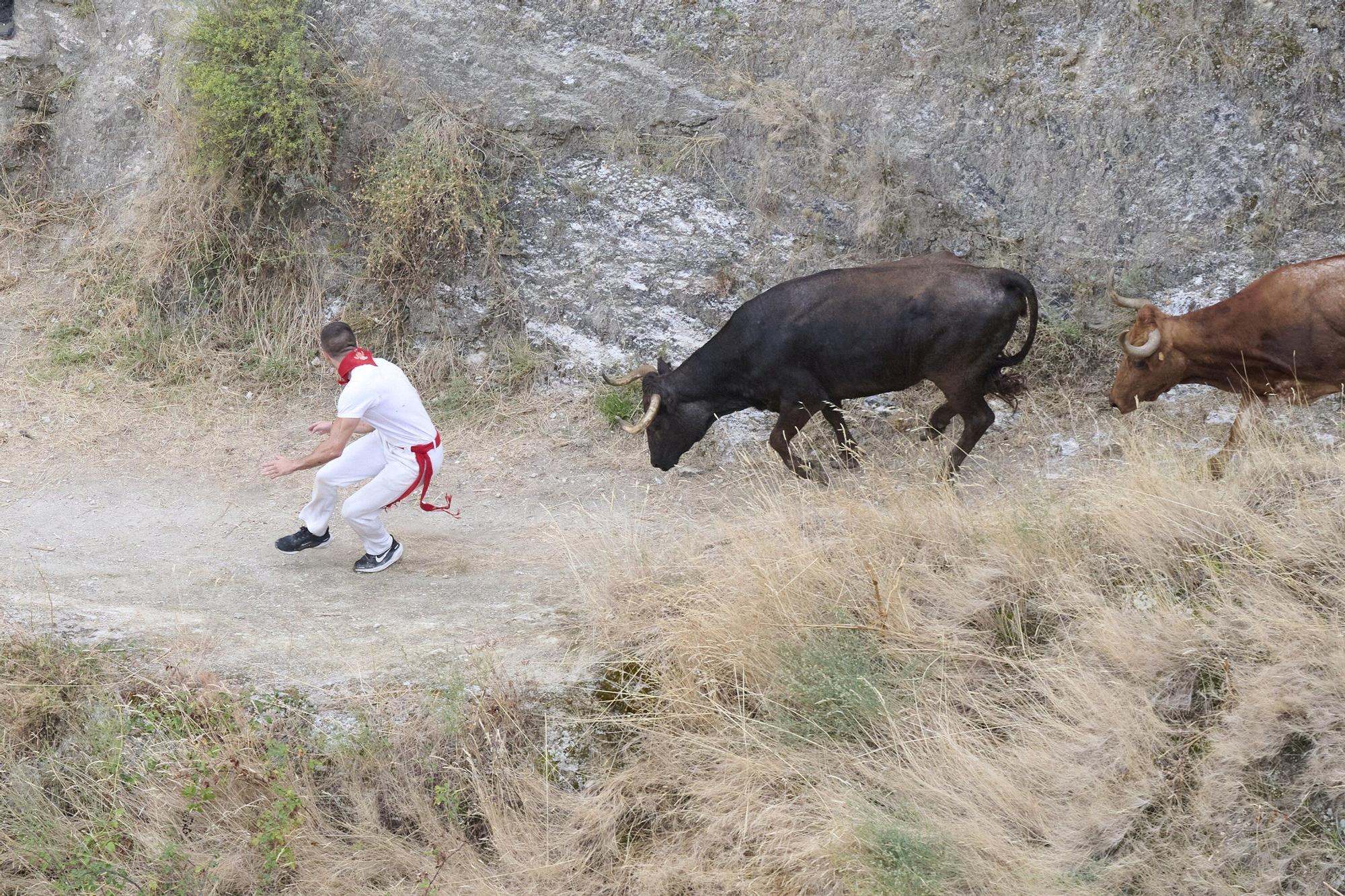 Fotos del tercer encierro del Pilón de Falces 2025