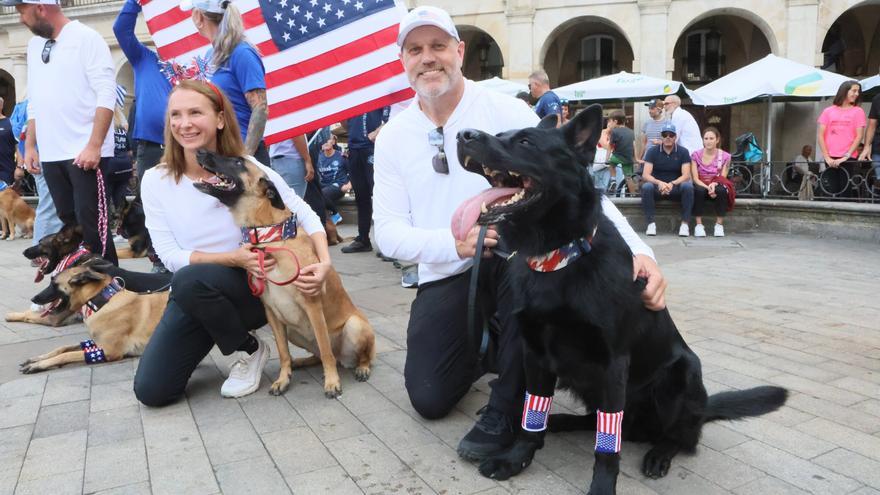 Gasteiz, capital de la élite del adiestramiento canino