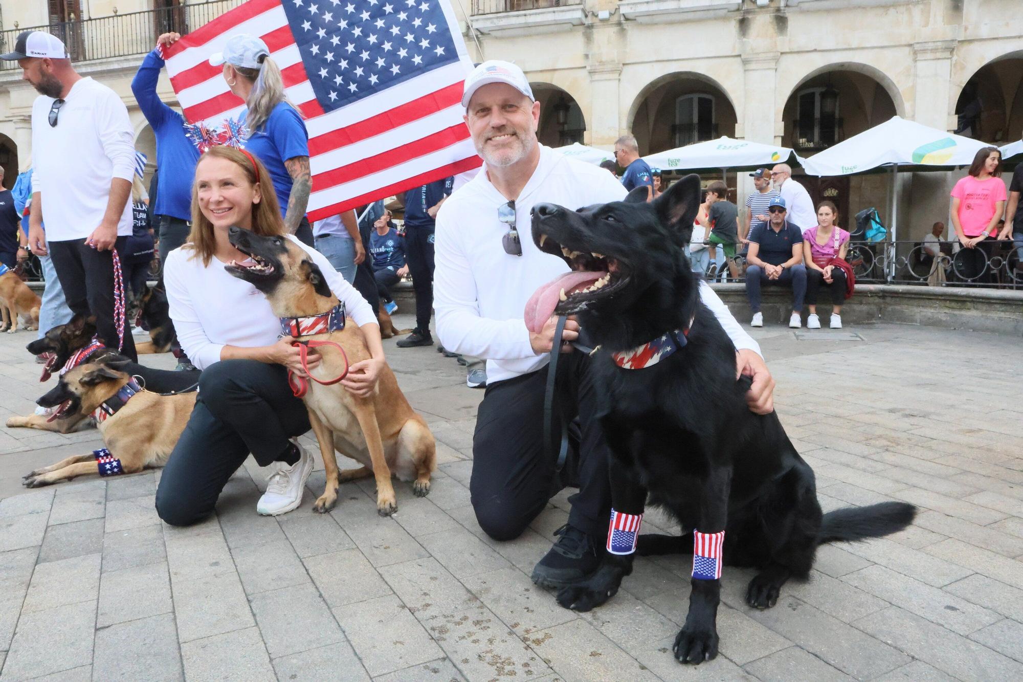 En imágenes: Perros de élite desfilan por Vitoria-Gasteiz por el 'Campeonato Mundial FCI-IGP'