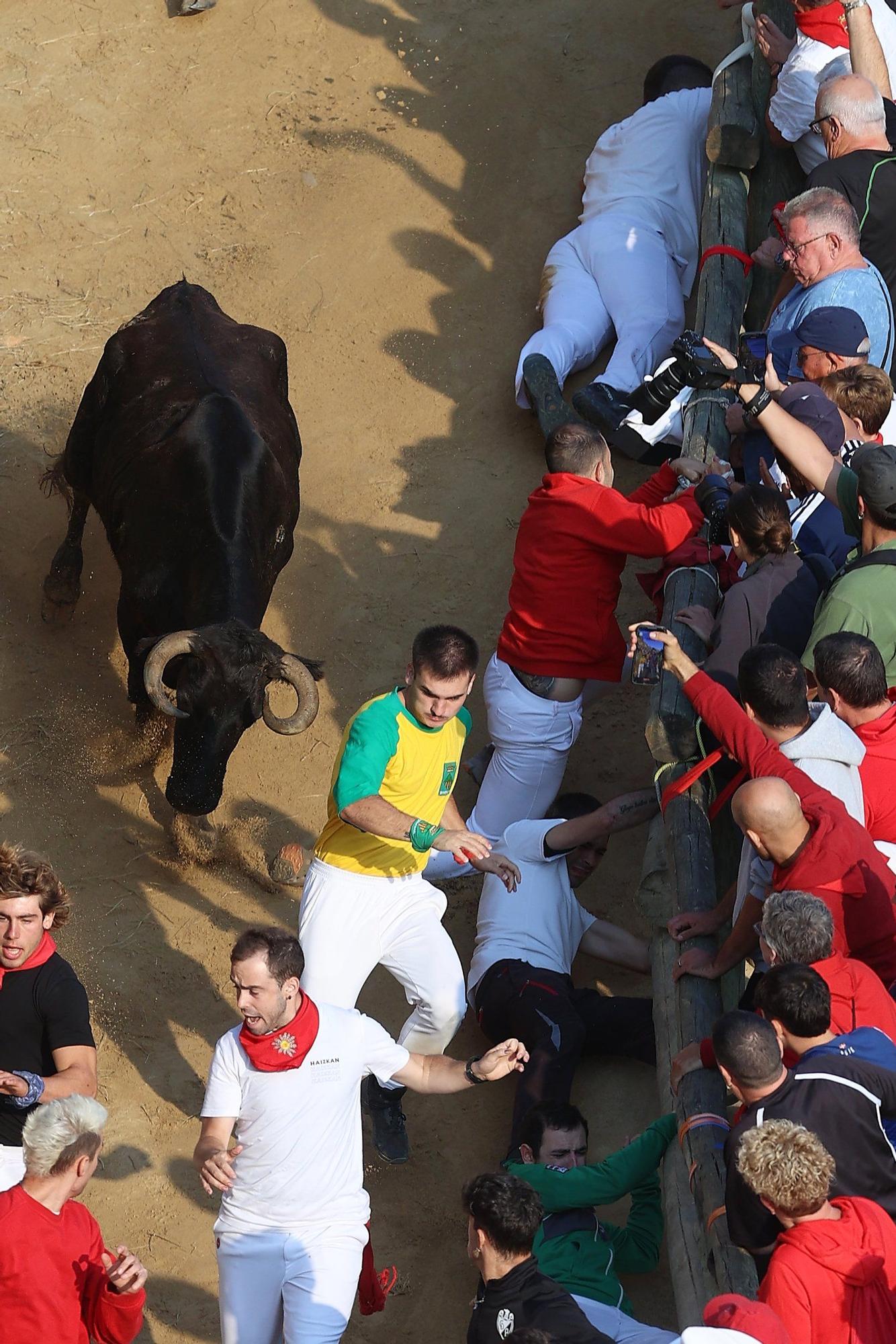Fotos del último encierro del Pilón de Falces 2025