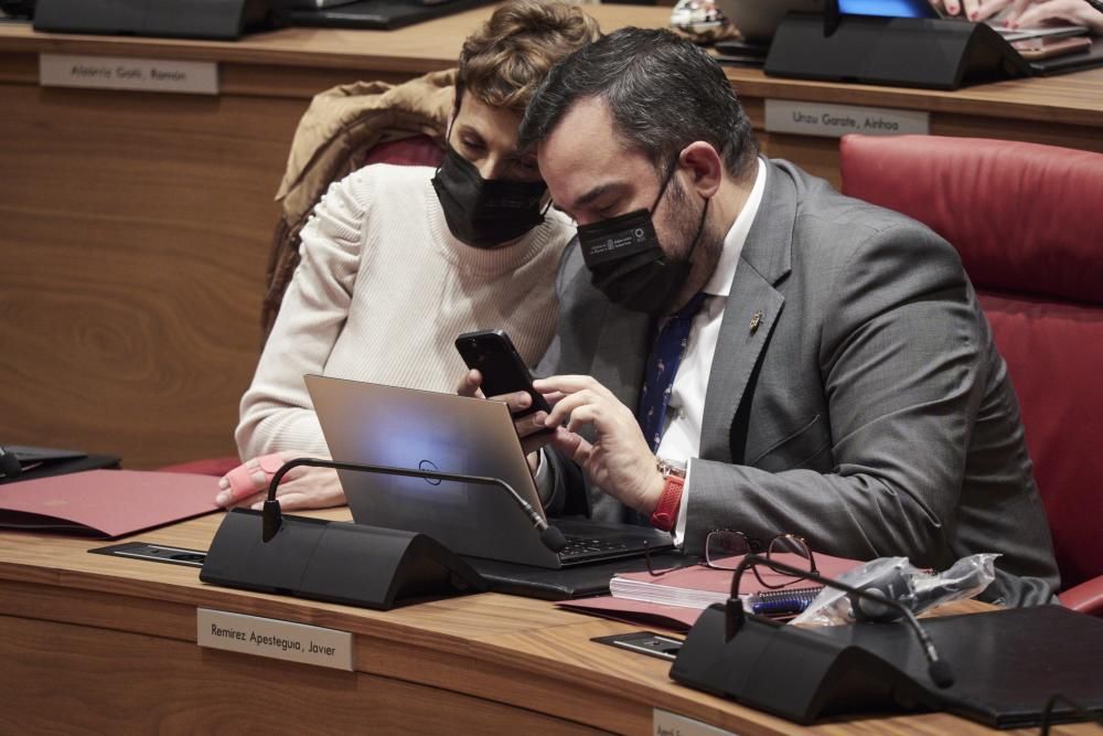 Pleno del Parlamento de Navarra
