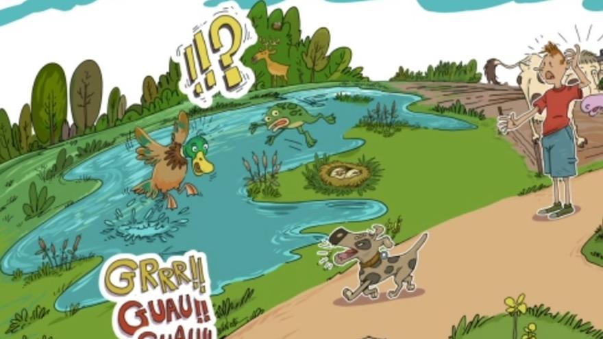 Txakurrek Eraztun Berdean lotuta joan behar dutela gogorarazteko kanpaina abiatu dute Gasteizen