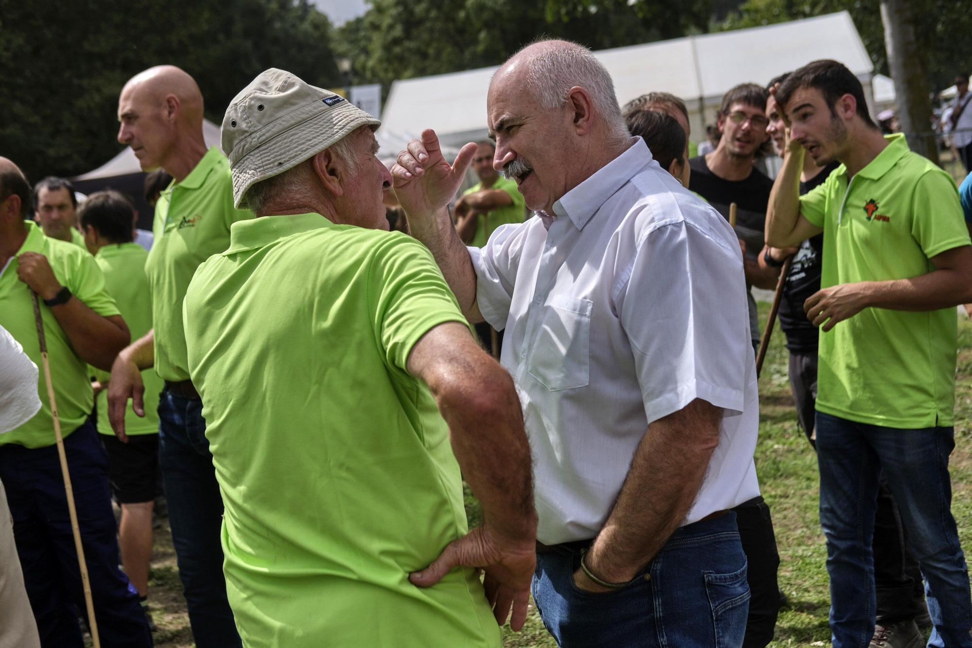 Fotos de la feria de ganado autóctono este sábado en Pamplona