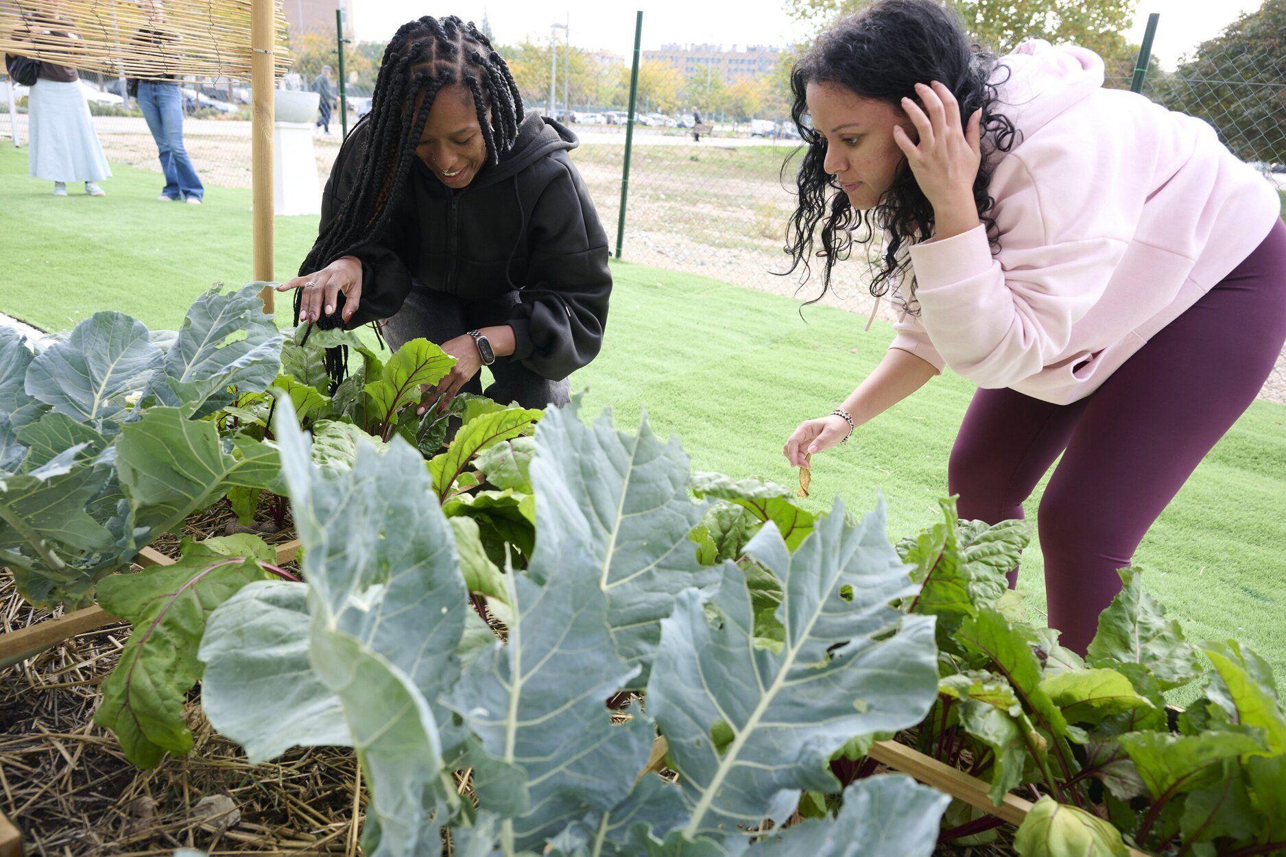 Yessenia Puche y Habiba Khatri cuidando una de las plantas