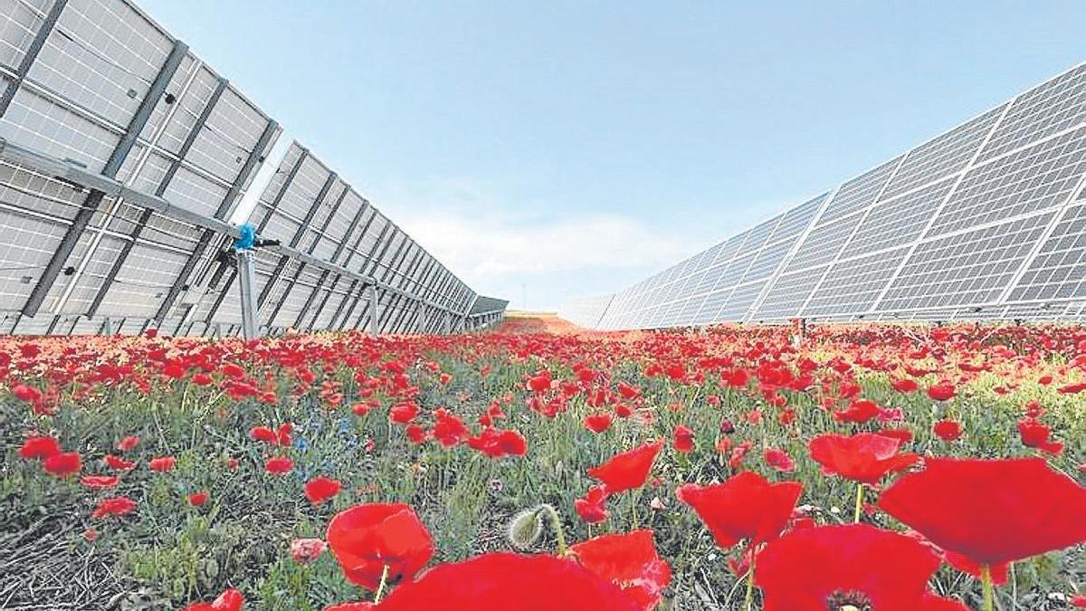 “Hay que multiplicar por cuatro la energía renovable para cumplir con los objetivos de descarbonización de la industria vasca”
