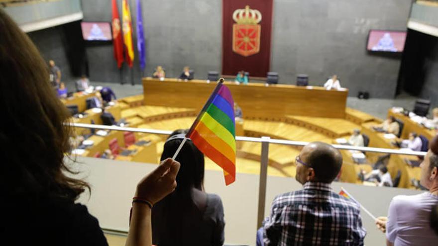 Satisfacción en el colectivo LGTB al ver que Navarra está a la vanguardia en la defensa de sus derechos.