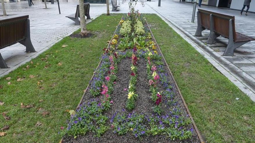 Adjudicado el contrato de suministro de arbustos, vivaces y flor de temporada de Pamplona