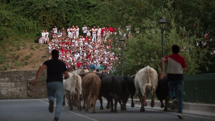 Encierrillo con toros de la ganadería de Fuente Ymbro para el encierro del día 10 en los Sanfermines de 2019