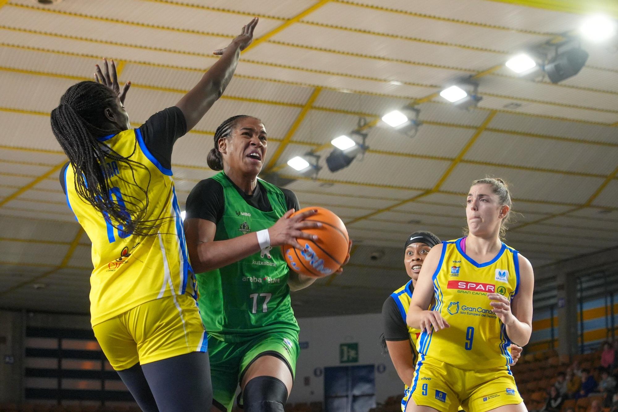 Todas las fotos del Araski - Gran Canaria