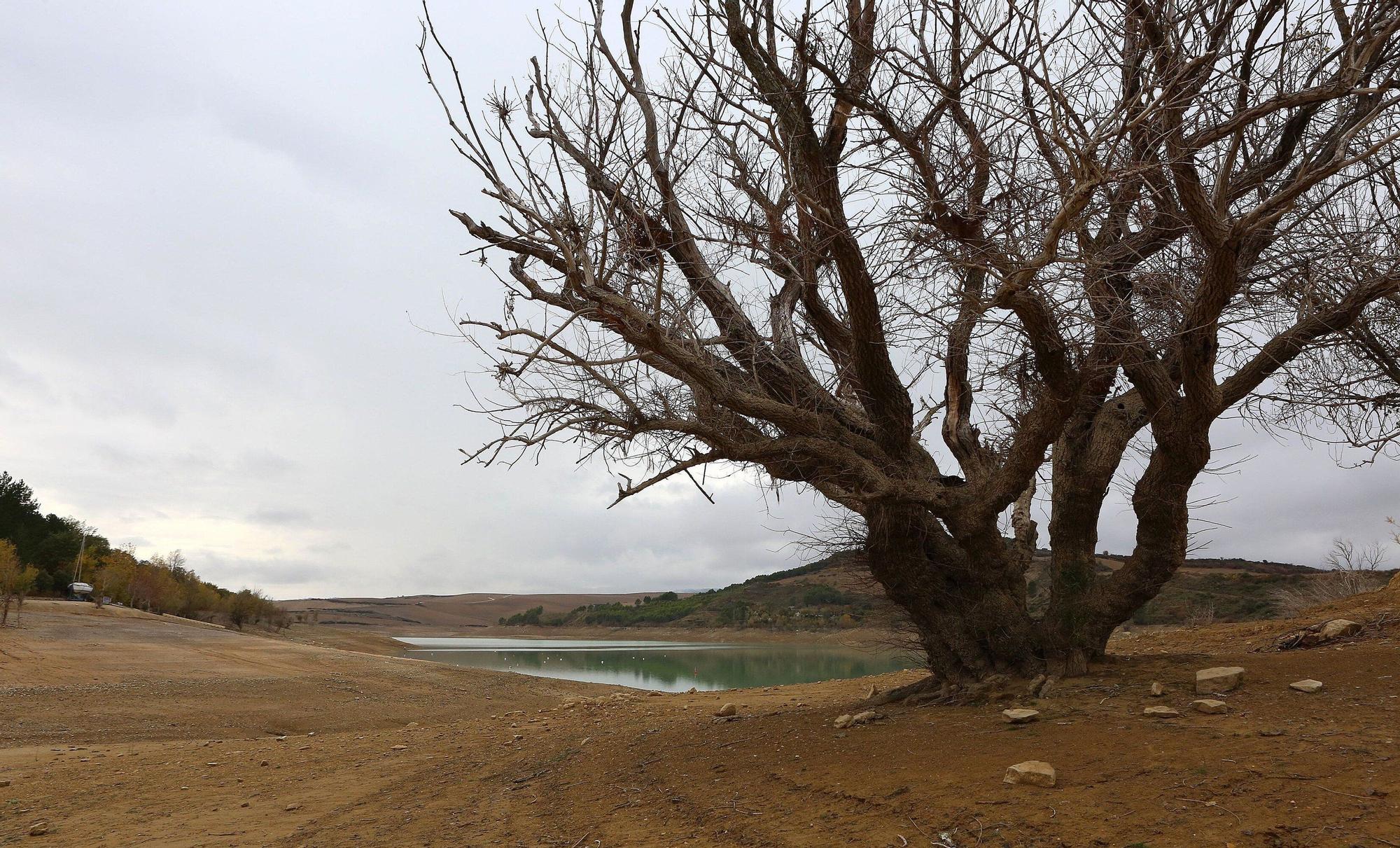 Estado del embalses de Alloz