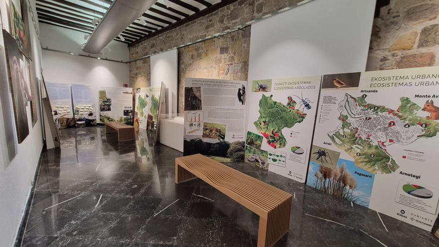 La Bolsa udal eraikinak 'Bilboko Biodibertsitate Ezkutua' erakusketa jasoko du